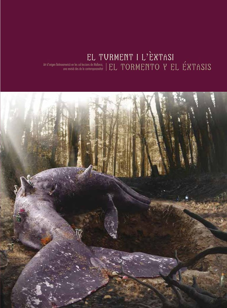 El turment i l’èxtasi. Art d’origen llatinoamericà en les col·leccions ...